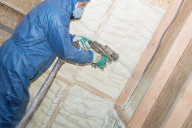 Best Commercial Insulation Services  in Emporia, KS